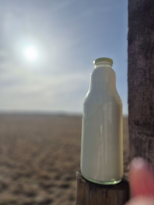 Mleko kozie wiejskie jajka sery masło serwatka