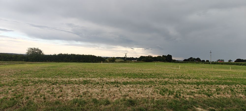 Działki budowlane 30ar, 41ar - Widok 3