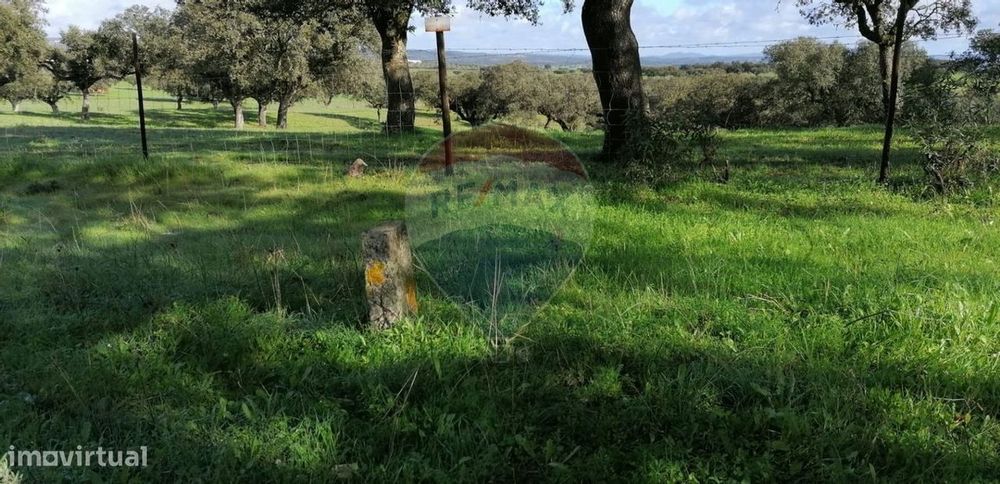 Terreno  para venda — Santo António (Capelins), Évora