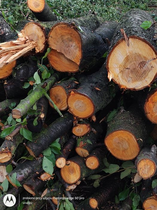 Sprzedam drzewo kominkowe cięte na wymiar zapraszam