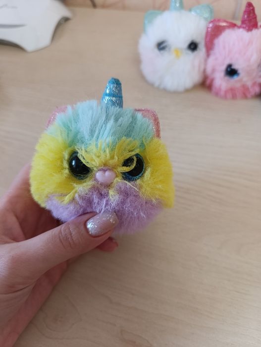 Кошеня-єдинороги