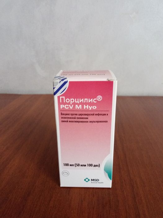 Поросята трехпородка