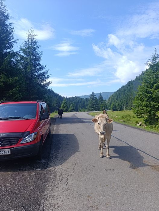 Екскурсії Закарпаття