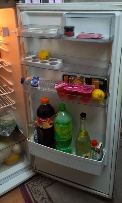 Working refrigerator502968964980428804