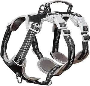 Wielofunkcyjne szelki dla psa BELPRO rozmiar L