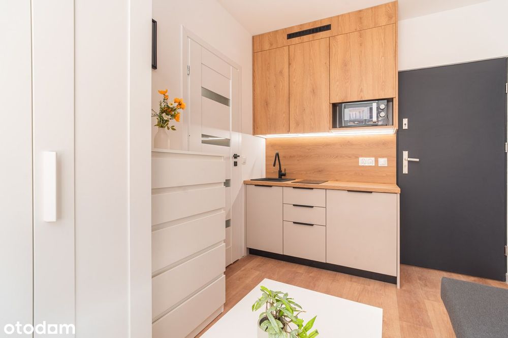 Kawalerka_na_wynajem_wysoki_standard_niski_czynsz!Bez_prowizji!