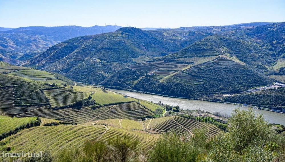 Quinta vínicola à venda no Peso da Régua no Douro Valley