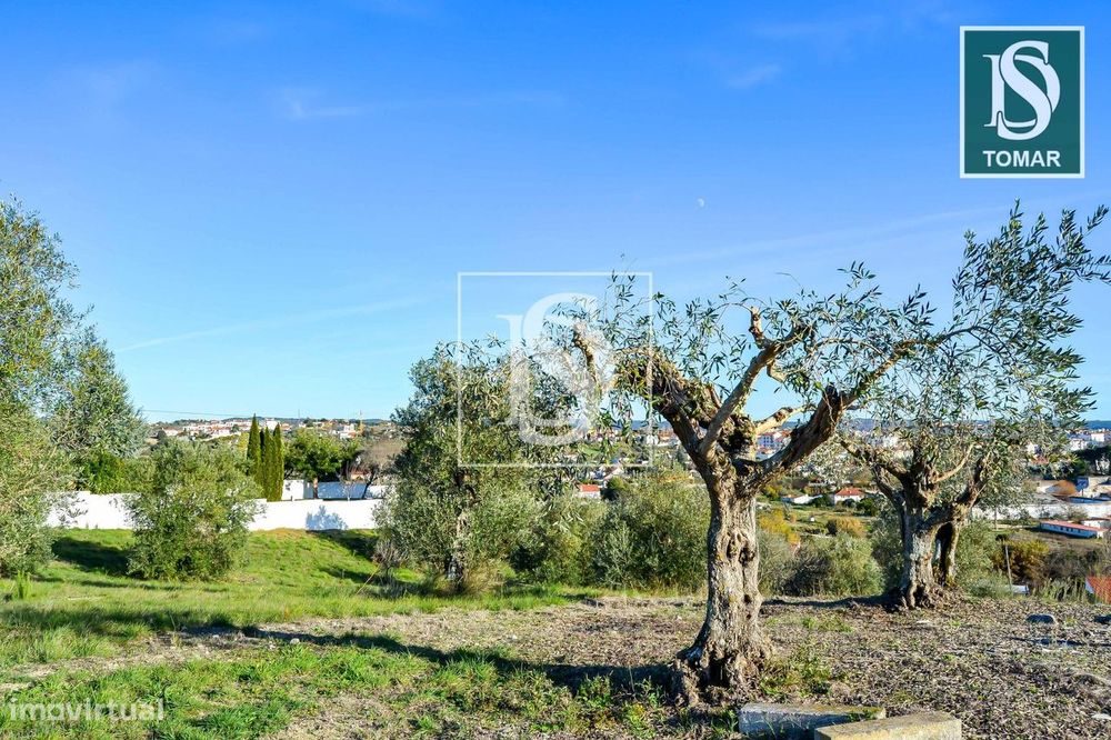 Terreno  Venda em Tomar (São João Baptista) e Santa Maria dos Olivais,