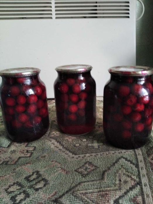 Черешня в сиропе 2025