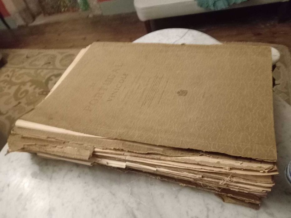 Portugal Vinicole 1900, Cincinatto Da Costa, Exemplar numerado