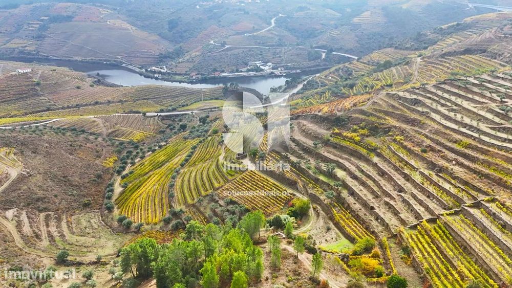 Terreno em Murça — Candedo, Vila Real