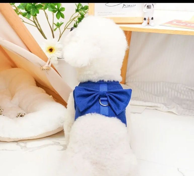 Шлейка с поводком