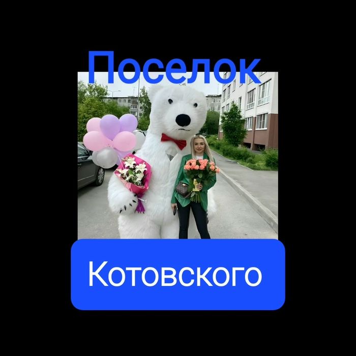мишка аниматор Поселок Котовского. мишка  на праздник.  мишка аниматор заказать  на день рождения Поселок