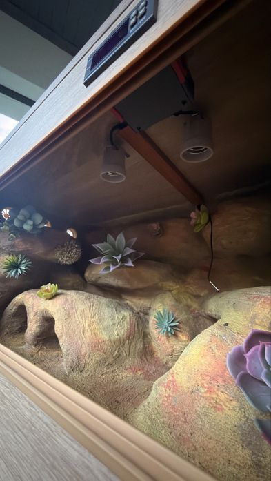 Terrarium 80x40x40cm, Regulator temperatury, 2x wejscia pod żarówkę
