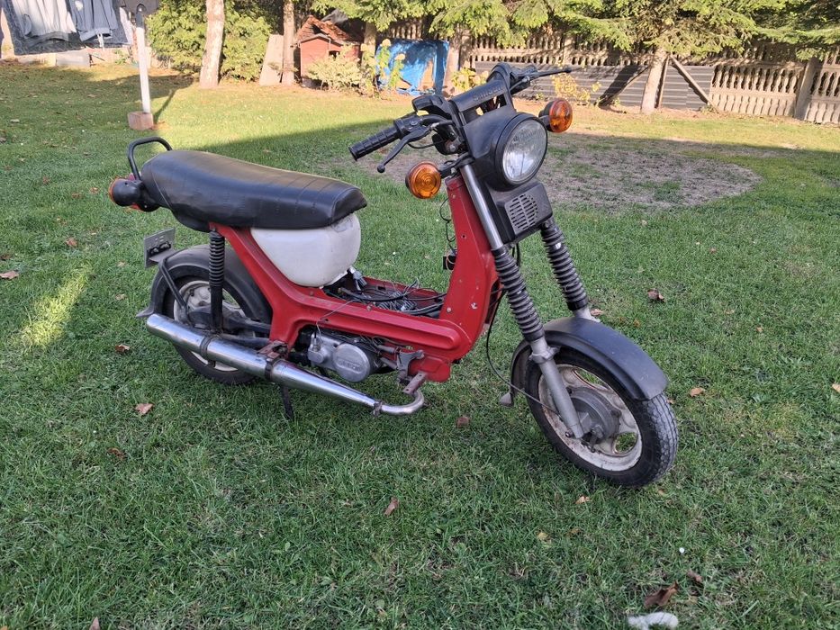 Simson