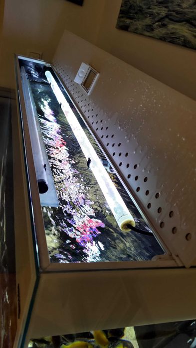 akwarium Aquael Glossy ST 120 + szafka 260 litrów + gratisy