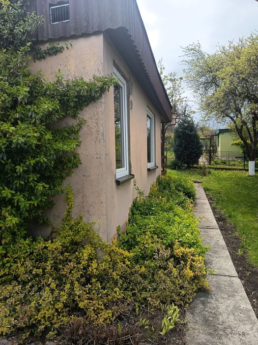 Ogródek działkowy ROD - Widok 3
