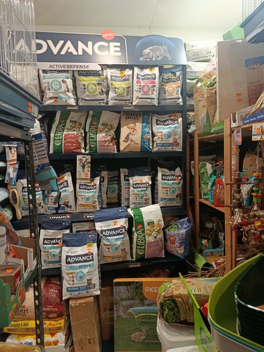 Venda de loja de animais / sessão de cotas