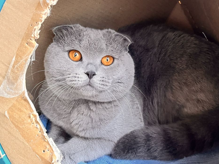 Запрошуємо на вʼязку