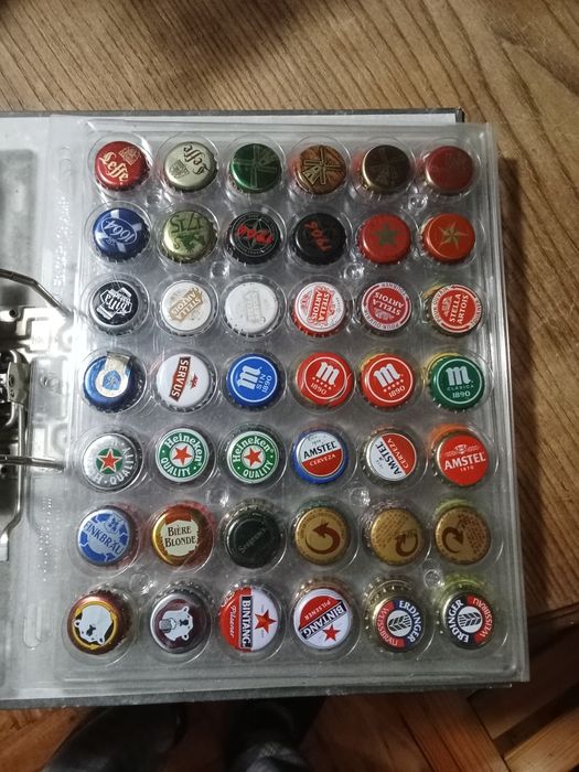 Lote de diversas sameiras