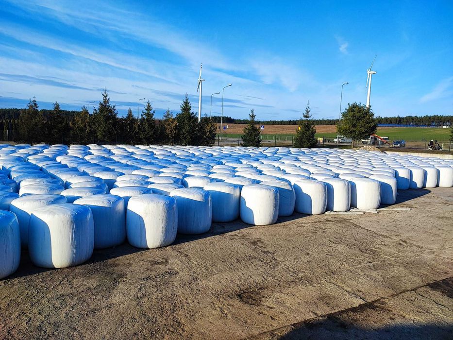 Kiszonka z kukurydzy i sianokiszonka z żyta w belach Możliwość dostawy