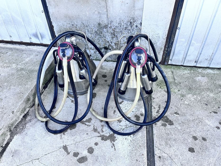 dojarka alfa laval z wyposazeniem