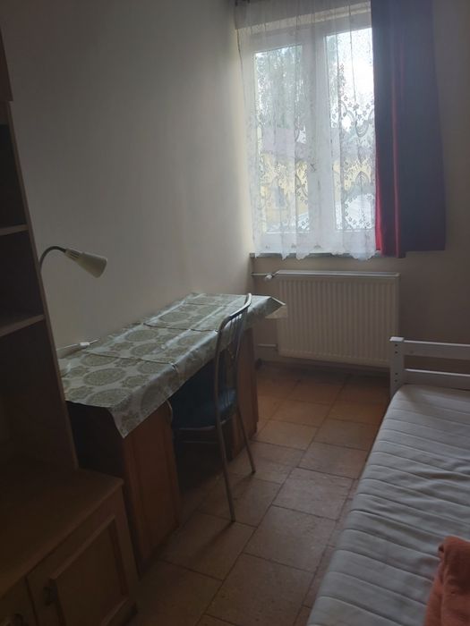 Pokuj do wynajecia
