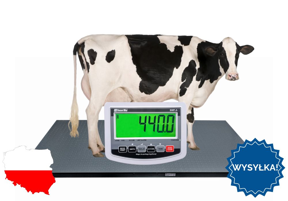 Waga inwentarzowa do gospodarstwa Do Zwierząt 1,00x2,20 5T DOSTAWA