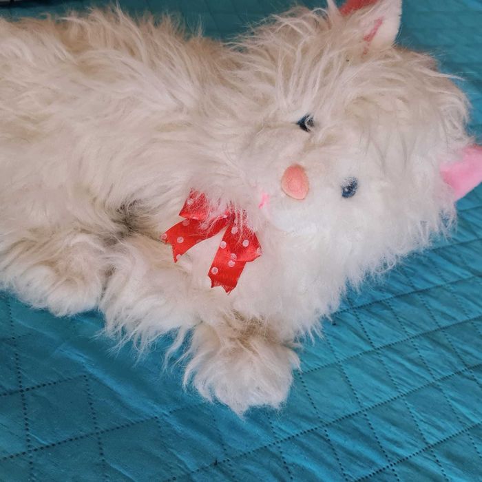 Peluches gato e coração