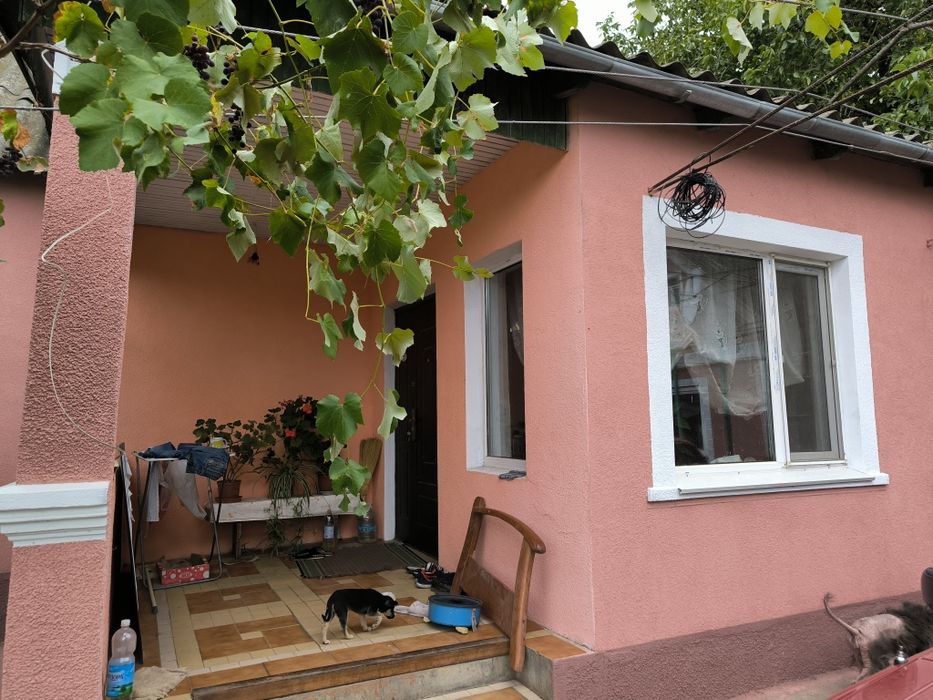 Продам будинок с.Петродолинське,поруч В.Дальник ,25км до Одессы