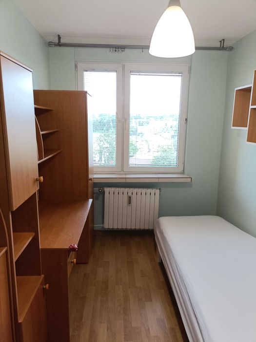 Do wynajęcia 4-pokojowe, jasne i słoneczne mieszkanie z pięknym widokiem. - Widok 4