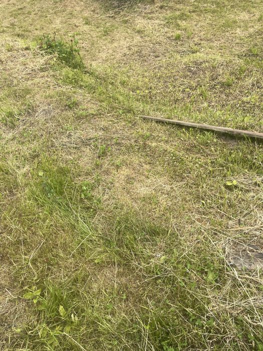 Продається земельна ділянка.