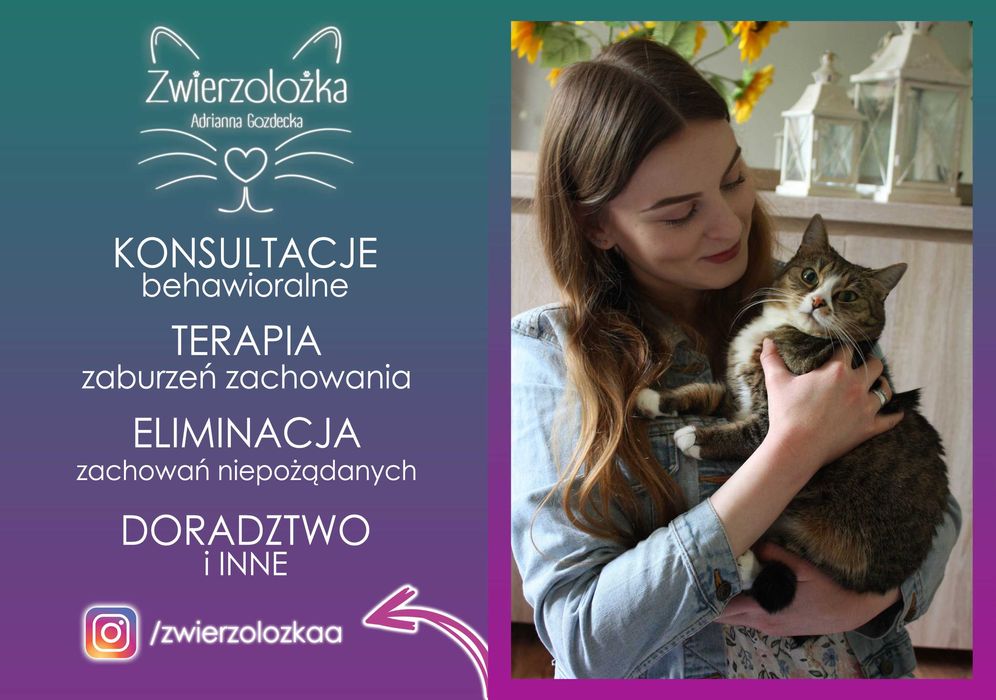 Behawiorysta zoopsycholog – Koty, Psy, Gryzonie