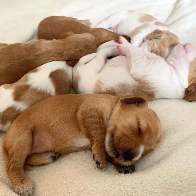 Останні дні в продажі — встигніть забрати