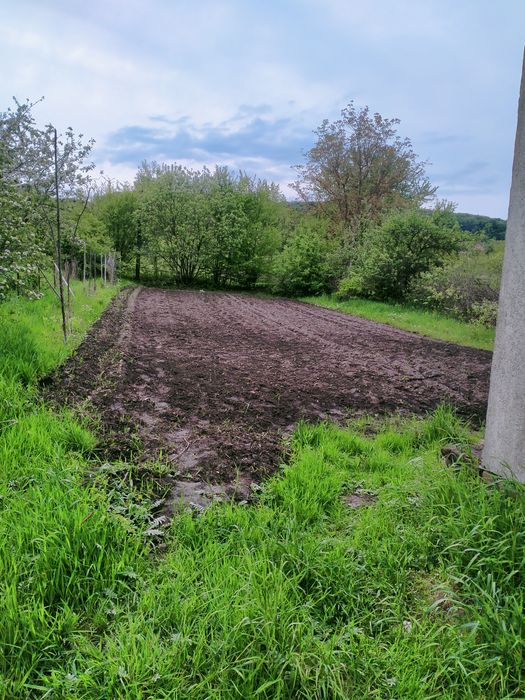 Продається дачна земельна ділянка