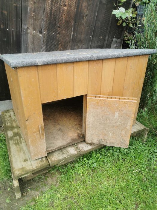 Kurnik dla kur kaczki