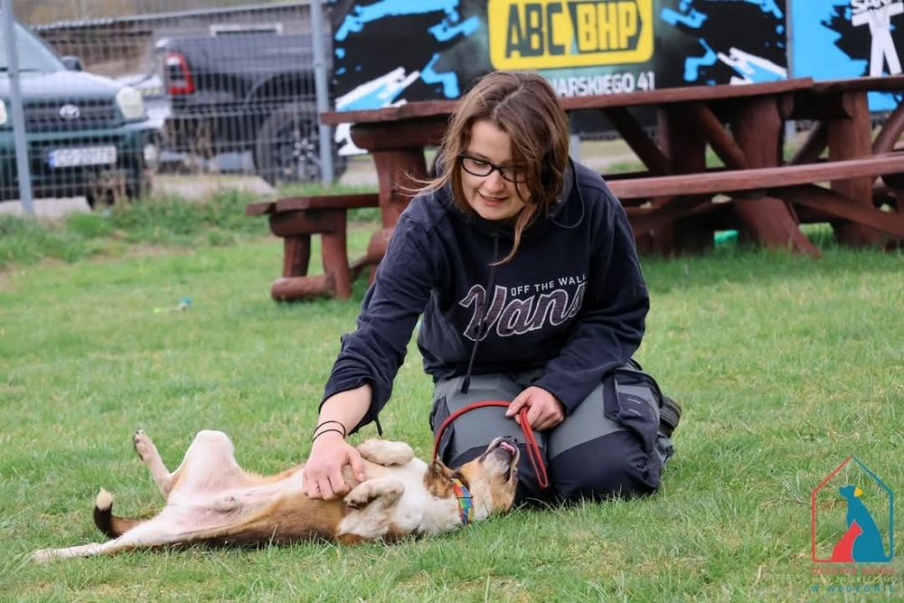 Kajtuś 196/21 - SZUKA DOMU!