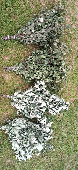 Witki brzozowe,  dębowe do sauny,  saunowanie, sauna, brzoza, dąb,  80 cm
