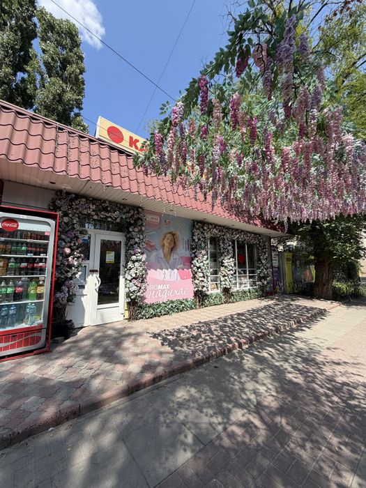Продам діючий комерційний об’єкт (магазин)