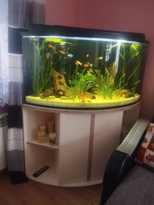 Akwarium 375 l bez wyposażenia