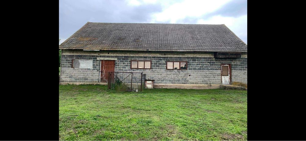 Dom z widokiem na las