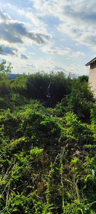 Косіня трави, газонів зачистка ділянок з подрібненням гілок гілкорубом