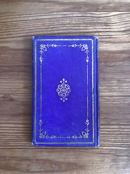 O mártir da Índia S. João de Brito