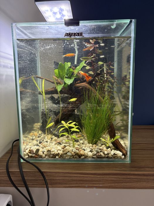 Akwarium Aquael kostka 20l