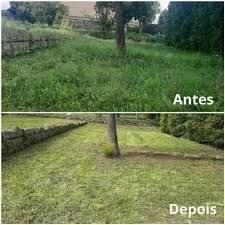 Serviços de Limpeza de Terrenos e Jardins