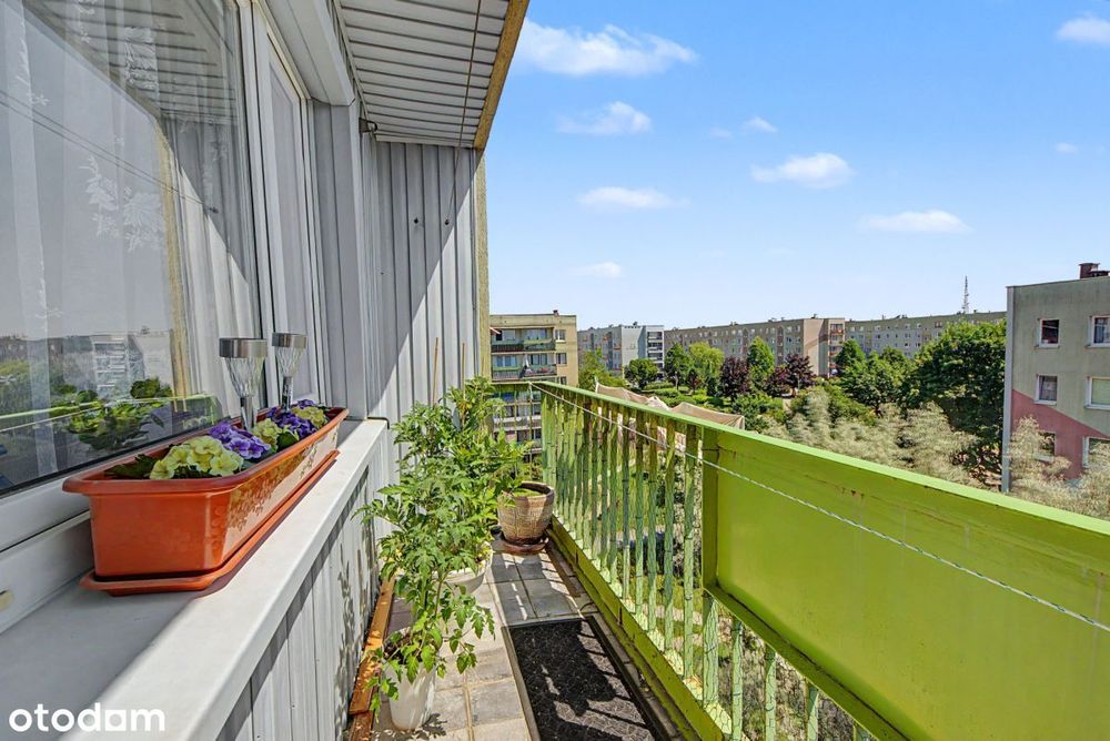 ⚡2 jasne, przestronne pokoje⚡Balkon ⚡Wrzosowiak ⚡ - Więcej