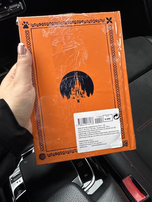 O Rei Leão Especial Disney