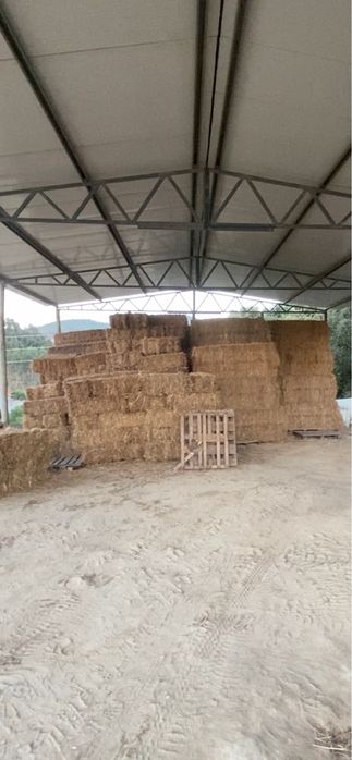 Fardos de feno nascidisso