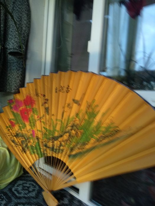 Очень красивый веер