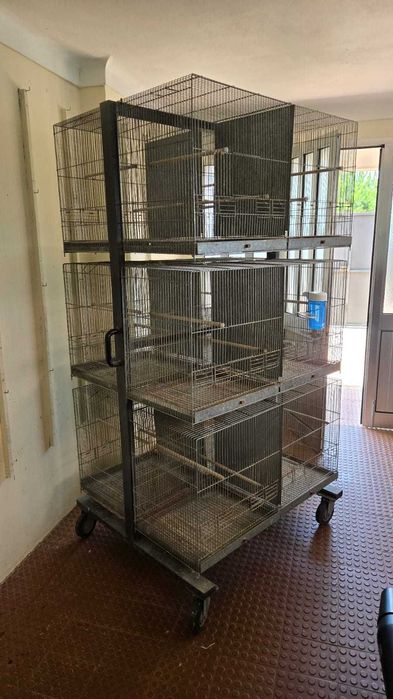 Armaçao em ferro para passaros